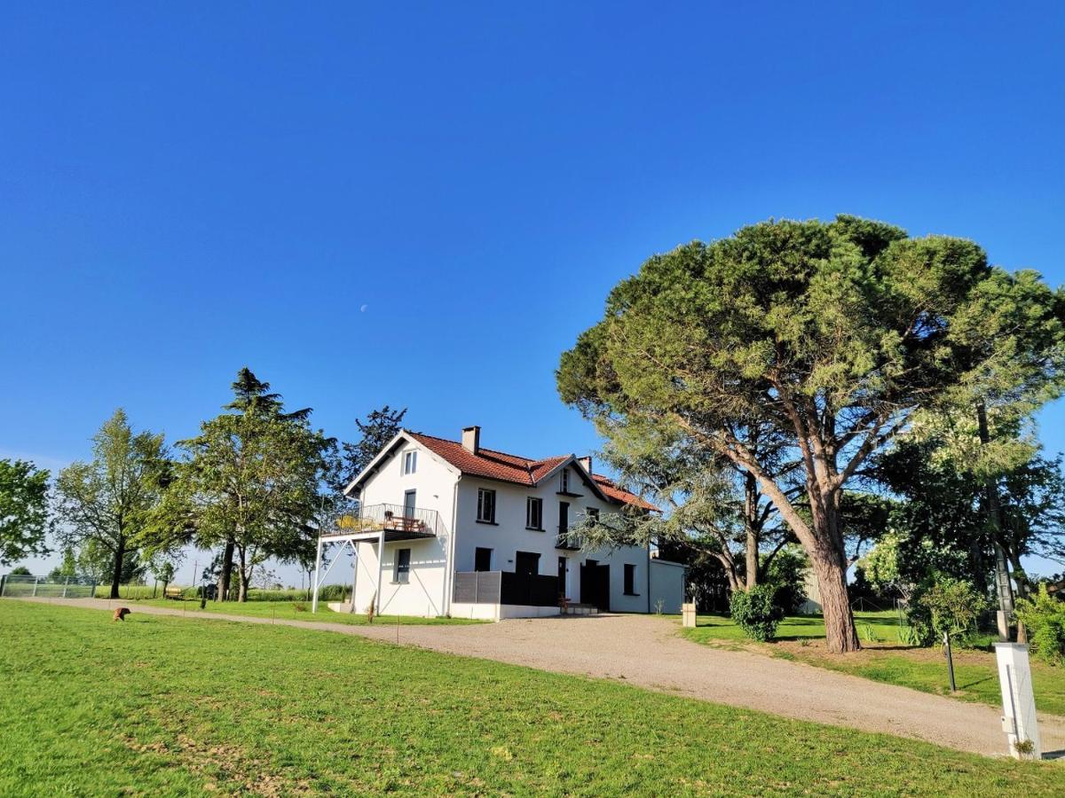 Le Cottage Duo Vigne Rouge Sauna Gaillac Entre Albi-Toulouse & Les Cottages Du Tarn Brens (Tarn) Exterior foto